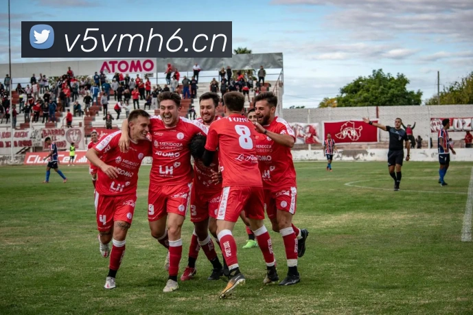 星空网页版官方入口平台生态图